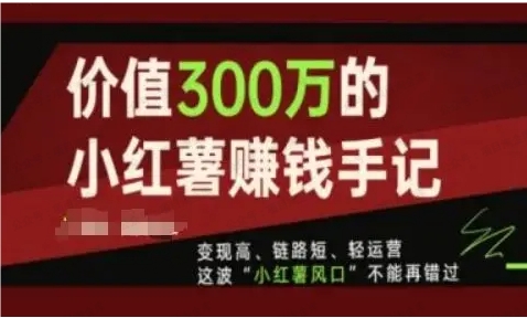 图片[1]-价值300万的小红书赚钱手记-常盈社-官方网站