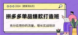 拼多多单品爆款打造课程-常盈社-官方网站