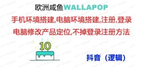 wallapop整套详细闭环流程:最稳定封号率低的一个操作账号的方法-常盈社-官方网站