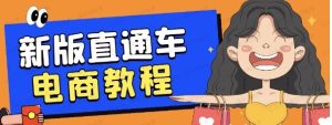 直通车速成指南电商教程:新版直通车玩法解密,小成本快速爆发-常盈社-官方网站