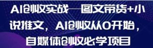AI创收实战-图文带货+小说推文,AI创收从0开始,自媒体创收必学-常盈社-官方网站