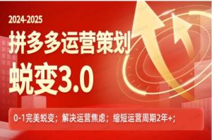 大力-2024-2025拼多多运营策略蜕变3.0-常盈社-官方网站