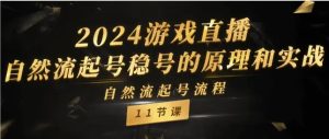2024游戏直播-自然流起号稳号的原理和实战,自然流起号流程-常盈社-官方网站